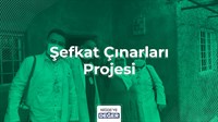 ŞEFKAT ÇINARLARI PROJESİ