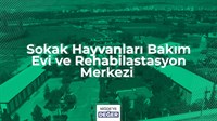 SOKAK HAYVANLARI BAKIM EVİ VE REHABİLİTASYON MERKEZİ